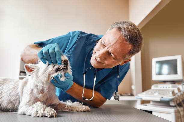 Best Emergency Root Canal Treatment in Munford, AL
