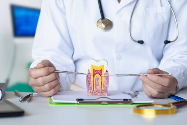 Best Emergency Dental Services for Seniors in Munford, AL